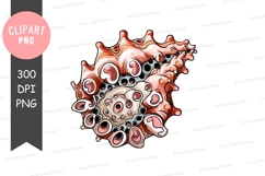 Abstract organic clipart png Product Image 1