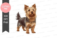 Standing yorkshire terrier clipart png Product Image 1