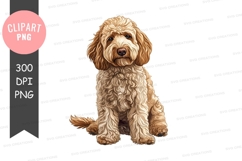 Cute labradoodle puppy sitting Product Image 1
