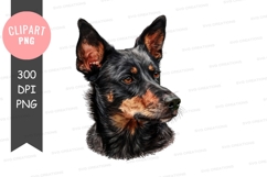 Australian cattle dog clipart png Product Image 1