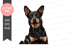 Portrait of a black and tan dog Product Image 1
