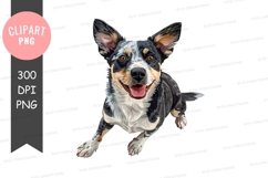 Happy australian cattle dog Product Image 1
