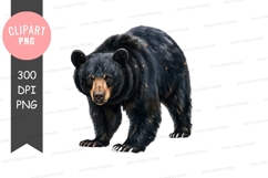 Majestic black bear clipart png Product Image 1