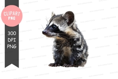 Civet clipart png Product Image 1