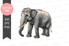 Baby elephant clipart png Product Image 1