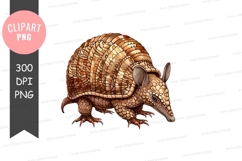 Armadillo clipart png Product Image 1