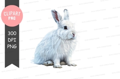 White rabbit clipart png Product Image 1