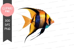 Colorful tropical fish Product Image 1