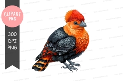 Vibrant bird clipart png Product Image 1