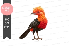 Vibrant tropical bird clipart png Product Image 1