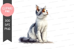 Graceful gray and white cat Product Image 1