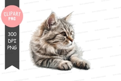 Cute kitten clipart png Product Image 1