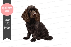 Brown dog clipart png Product Image 1