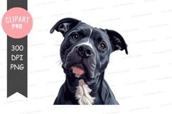 Curious pitbull puppy clipart png Product Image 1