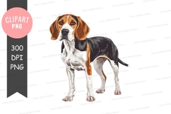 Beagle dog clipart png Product Image 1