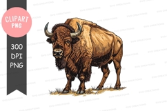 Majestic bison clipart png Product Image 1