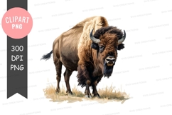 Majestic bison in natural habitat Product Image 1