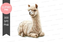Cute alpaca clipart png Product Image 1