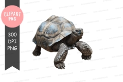 Stylized turtle clipart png Product Image 1