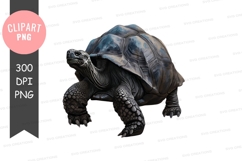 Giant tortoise clipart png Product Image 1