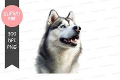 Happy siberian husky clipart png Product Image 1