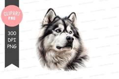 Portrait of a siberian husky Product Image 1