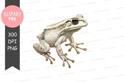 White frog clipart png Product Image 1
