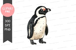 Penguin clipart png Product Image 1