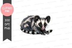 Cute civet clipart png Product Image 1