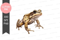 Golden frog clipart png Product Image 1