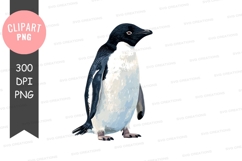 Penguin clipart png Product Image 1