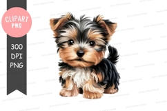 Adorable yorkie puppy clipart png Product Image 1