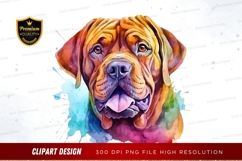 Colorful dog portrait Product Image 1