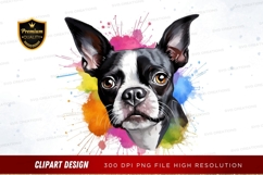 Playful boston terrier with colorful splash Product Image 1