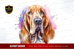 Portrait of a basset hound Product Image 1