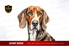Portrait of a basset hound Product Image 1