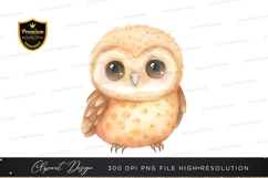 Cute owl clipart png Product Image 1