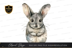 Chinchilla clipart png Product Image 1