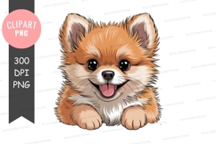 Happy pomeranian puppy clipart png Product Image 1