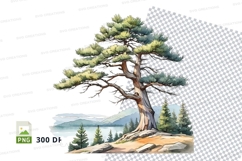 Watercolor pine tree clipart png Product Image 1