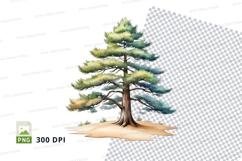 Watercolor pine tree clipart png Product Image 1