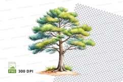 Watercolor pine tree clipart png Product Image 1
