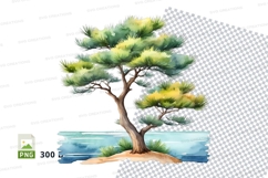 Watercolor pine tree clipart png Product Image 1