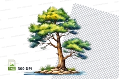 Bonsai tree clipart png Product Image 1