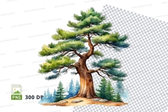 Watercolor pine tree clipart png Product Image 1