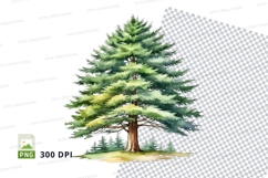 Watercolor pine tree clipart png Product Image 1