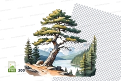 Watercolor landscape pine tree clipart png Product Image 1