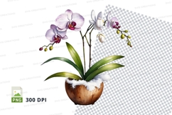 Orchid plant in pot clipart png Product Image 1