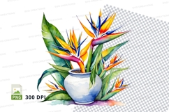 Watercolor bird of paradise flower in vase png Product Image 1