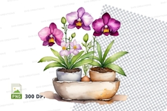 Orchid plant in pot clipart png Product Image 1